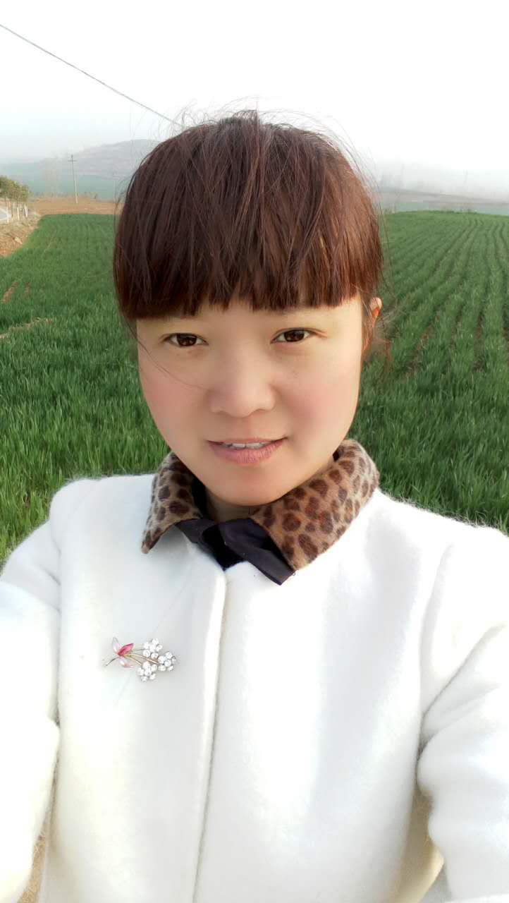 杨慧芳